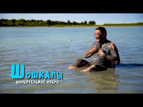 Видео: Удивительное озеро ШОШКАЛЫ / ВКО / Лечебная грязь / Артемия салина