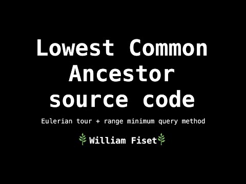 Видео: Задача о наименьшем общем предке (LCA) | Исходный код