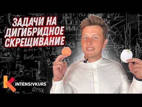 Видео: Как Решать Задачи на Дигибридное Скрещивание — Биология 10 класс // Подготовка к ЕГЭ по Биологии