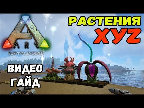 Видео: Растения XYZ. Видео-гайд. ARK Survival Evolved.