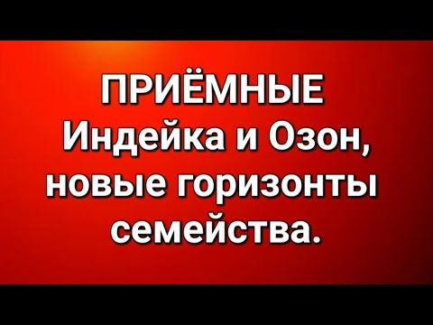 Видео: Приёмные/В последних сериях. 