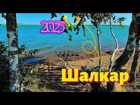 Видео: Карпфишинг в Казахстане , озеро Шалкар (СКО) Рыбалка на Карпа