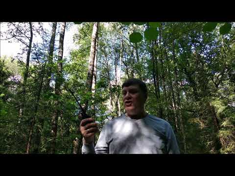 Видео: 145 МГц vs 27 МГц - тест радиостанций в лесу