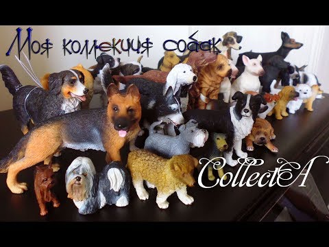 Видео: Моя коллекция собак от фирмы CollectA/ My collection of dogs by CollectA