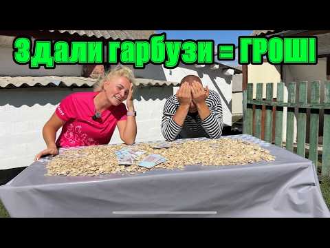 Видео: 50 соток гарбузів = гроші 💸 Сільський бізнес від А до Я