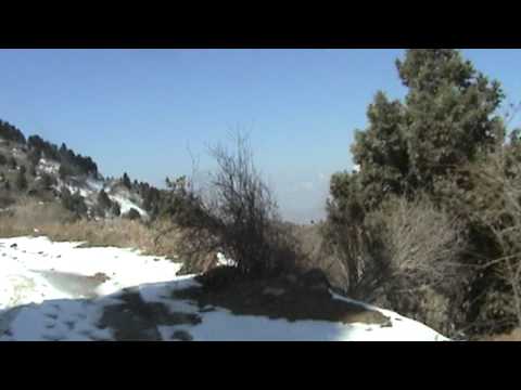 Видео: Дорога в горы(1).