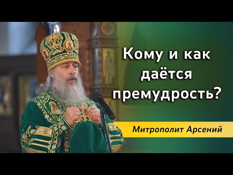 Видео: Проповедь митр. Арсения в день памяти прп. Сергия Радонежского 8.10.22 г.