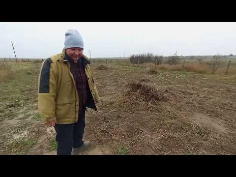 Видео: Я ПРИНЯЛА РЕШЕНИЕ / ПОРА ПРИВОДИТЬ СЕБЯ В ПОРЯДОК