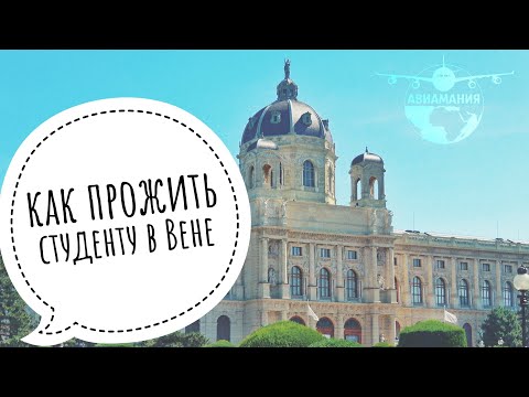 Видео: Жизнь в Вене | Интервью Вена глазами студента | #Авиамания