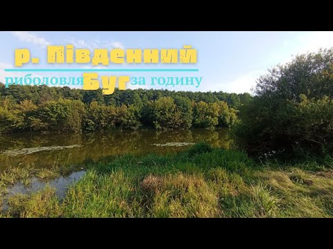 Видео: Що спіймав за годину на р.Південний Буг  с.Бохоники 