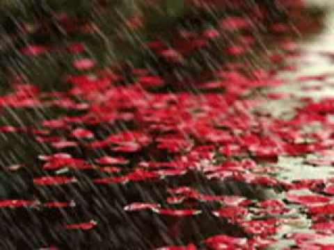 Видео: ще ти говоря за любов Стефан Митров