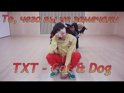 Видео: То, чего вы не замечали - TXT (Cat & Dog |Appeal ver. ) Dance Practice