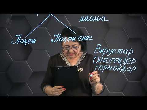 Видео: Обыралды жағдайлардың туындауына әсер етуші факторлар. 1 бөлім. 10 сынып.