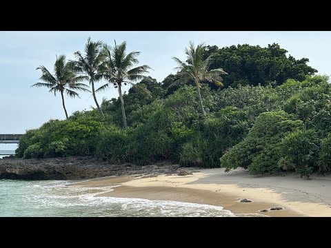 Видео: Маленький остров 🏝️ Miyakojima🌴южная Япония 🌴