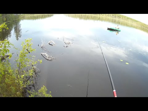 Видео: Карелия. Ищем новые места. Проверяем 4 озера.