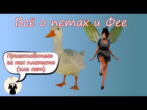 Видео: BDO Всё (почти) о питомцах и фее