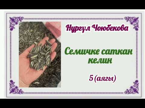 Видео: Нургүл Чоюбекова Семичке саткан келин 5- бөлүм(аягы)