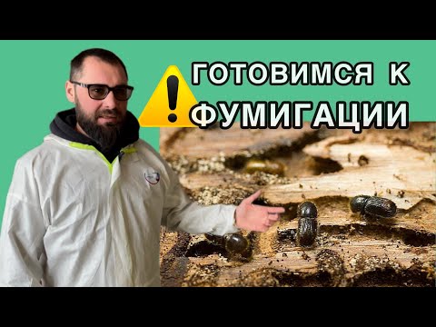 Видео: Подготовка перед фумигацией