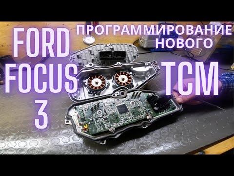 Видео: FORD Focus 3 DPS250 программирование нового TCM