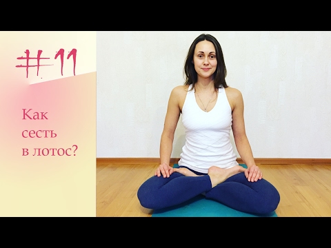Видео: YogaFAQ#11: Как сесть в Позу Лотоса?