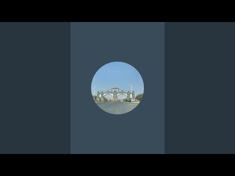 Видео: ДИЛИ ҒАРИБ . TJ в прямом эфире!