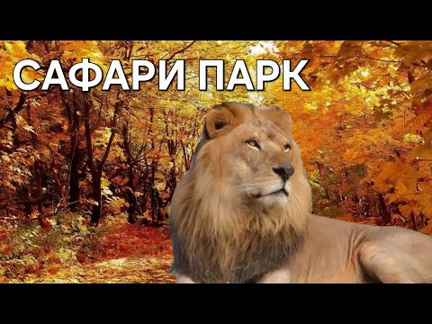 Видео: Приморский САФАРИ-ПАРК / Safari Park