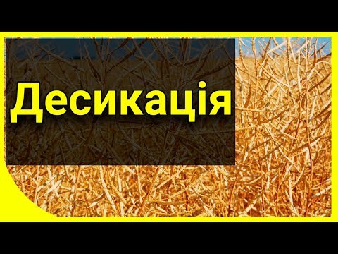 Видео: Десикация - НА*** она нужна?