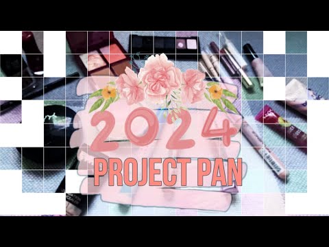 Видео: PROJECT PAN 2024. Начало