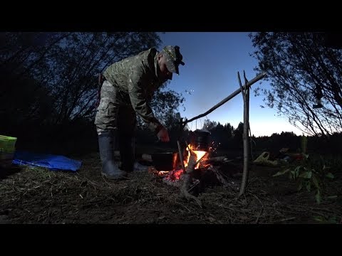 Видео: ЭТИ ДВЕ ДОНКИ СДЕЛАЛИ РЫБАЛКУ \ РЫБАЛКА НА НАЛИМА \ УСПЕХ НАПАРНИКА \ НАЛИМ - НИКАДИМ 2020!