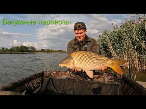 Видео: ОЧЕНЬ МНОГО РЫБЫ😲Рыбалка на карпа