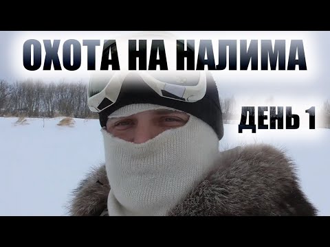 Видео: Снегоход тайга варяг 550 река Чулым рыбалка ловлю ерша для жерлиц
