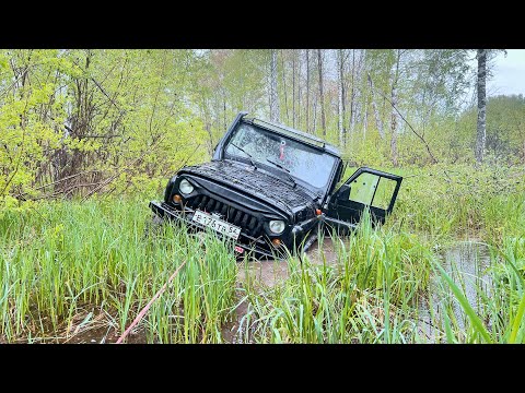 Видео: Лес. УАЗ