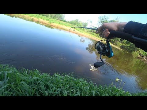 Видео: РЫБАЛКА НА СПИННИНГ, ЩУКА, ЖЕРЕХ.