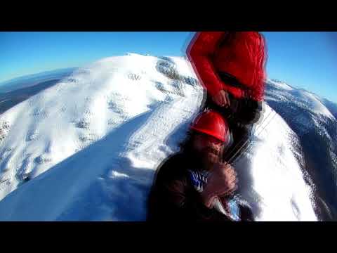 Видео: Злия зъб