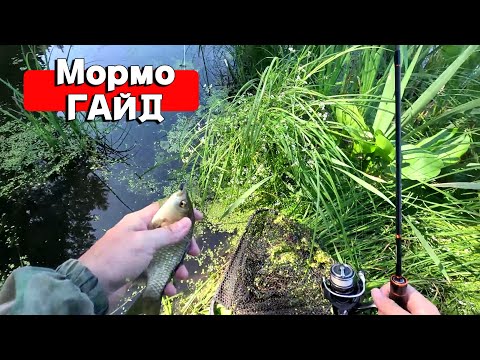 Видео: МОРМЫШИНГ НА ЛЕСНОМ ОЗЕРЕ.РАСКРЫВАЮ СЕКРЕТЫ ЛОВЛИ КАРАСЯ НА СПИННИНГ! РЫБАЛКА 2024