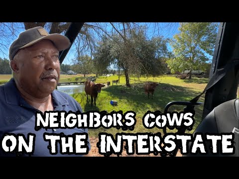 Видео: Реклама катастрофы! Этот парень понятия не имеет…