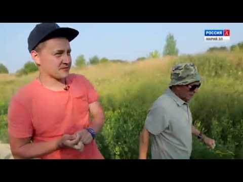 Видео: Пешком по республике, 5 серия "Деревня Чукша"