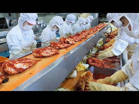 Видео: приготовление кимчи на корейской фабрике кимчи - корейская кухня