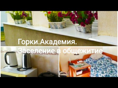 Видео: #Горки#БГСХАкадемия#2 курс#заселение#в#общежитие 12. 3 сентября 2022