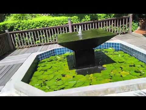 Видео: Le Vimar & Ao Prao Resort  Обзор сразу 2 отелей.  Остров Самет 2024