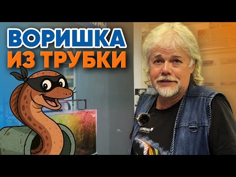 Видео: Аквариумные истории из ЭКЗОМЕНЮ (14.11.2025). Воришка из трубы.