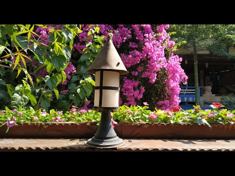 Видео: Красивые парки. Израиль - Сады Эльмона /Beautiful parks. Israel/גני אל מונה