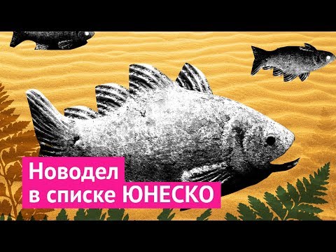 Видео: Посмотри, как похорошела Варшава!