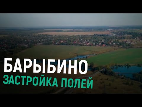 Видео: Чем грозит застройка полей в Барыбино?