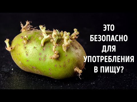 Видео: 51 совет по безопасности, за которые вы скажете себе "спасибо"