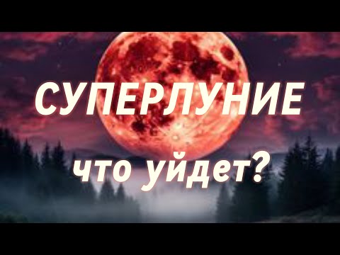 Видео: СУПЕРЛУНИЕ!!! Что уйдет? Что изменится?