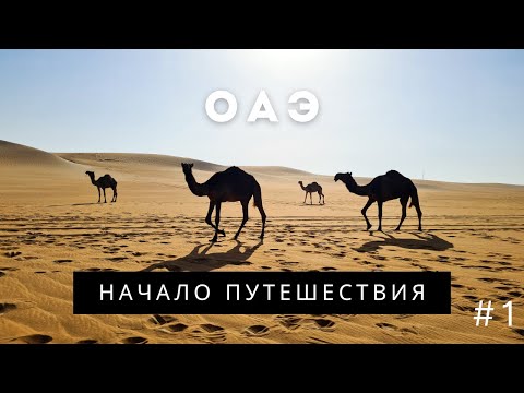 Видео: Первый день в Дубае | Путешествие по ОАЭ #1