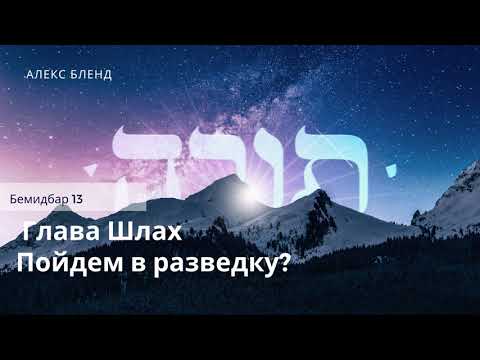 Видео: Недельная глава Шлах. Пойдем в разведку? Бемидбар 13:1-33