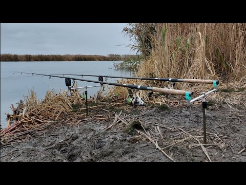 Видео: Как ловить КАРПА на реке Днестр. Снасти на САЗАНА для реки. НОЯБРЬ 2022.