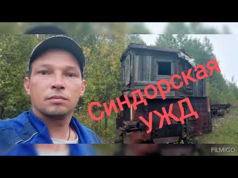 Видео: Синдорская УЖД